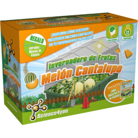 invernadero-de-frutas-melon-cantalupo